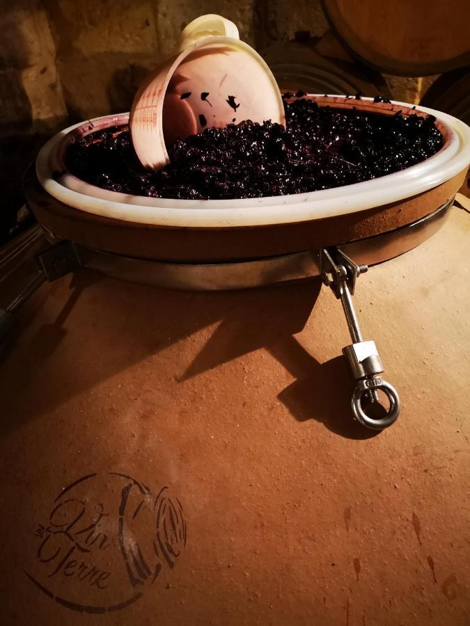 Chateau Cantelaube Saint-Emilion Ngoại thất bức ảnh