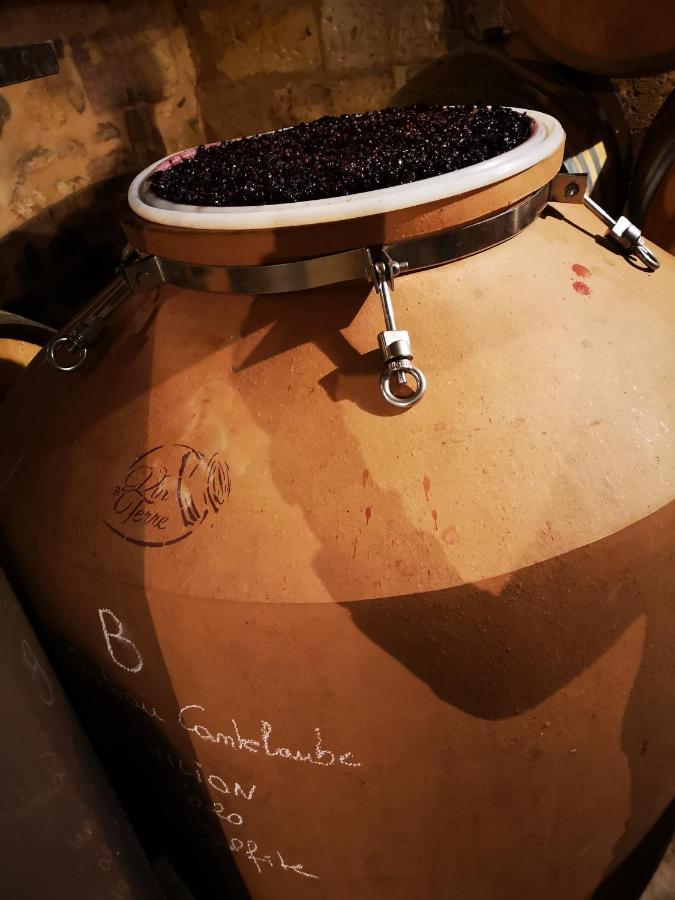 Chateau Cantelaube Saint-Emilion Ngoại thất bức ảnh