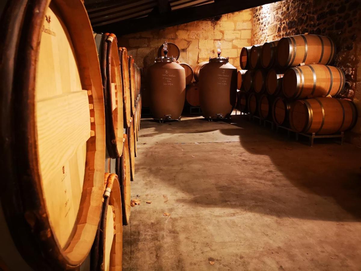 Chateau Cantelaube Saint-Emilion Ngoại thất bức ảnh