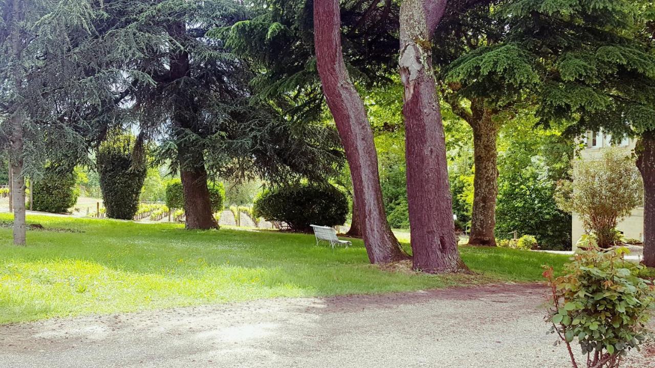 Chateau Cantelaube Saint-Emilion Ngoại thất bức ảnh