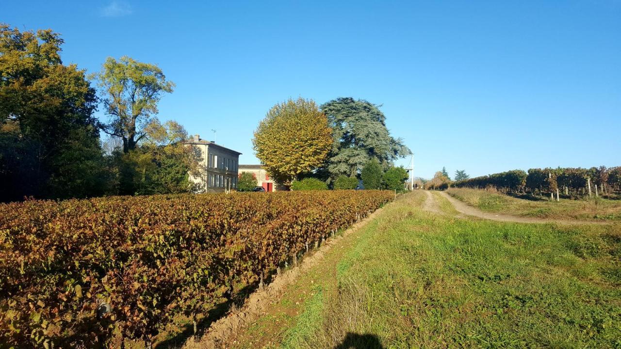 Chateau Cantelaube Saint-Emilion Ngoại thất bức ảnh